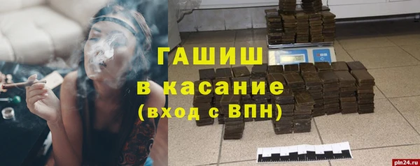 прущие грибы Михайловск