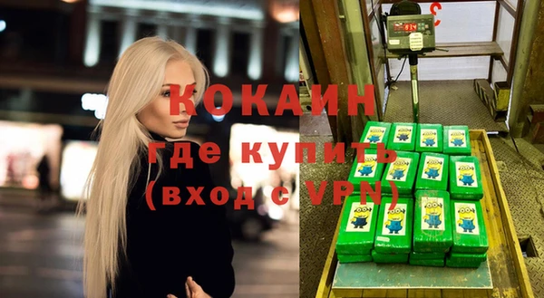 прущие грибы Михайловск