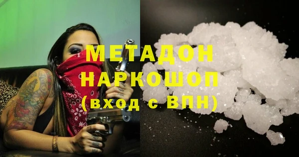 прущие грибы Михайловск