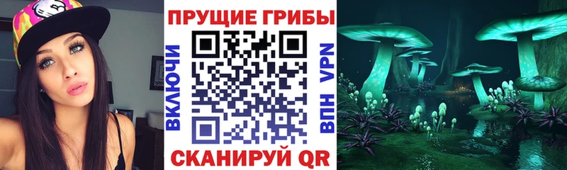 Псилоцибиновые грибы мухоморы  где купить наркоту  Называевск 